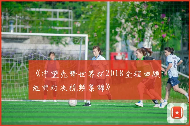 《守望先锋世界杯2018全程回顾:经典对决视频集锦》