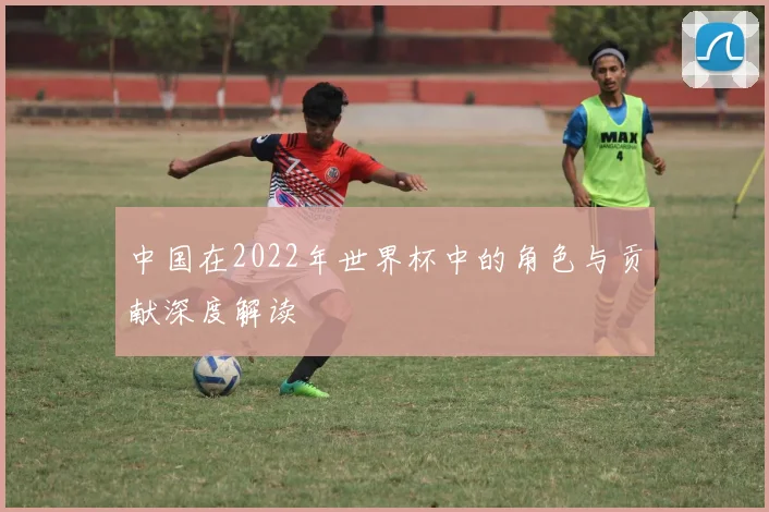 中国在2022年世界杯中的角色与贡献深度解读