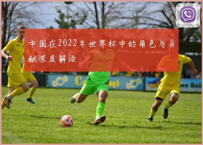 中国在2022年世界杯中的角色与贡献深度解读