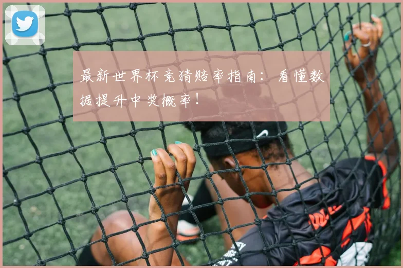 最新世界杯竞猜赔率指南：看懂数据提升中奖概率！